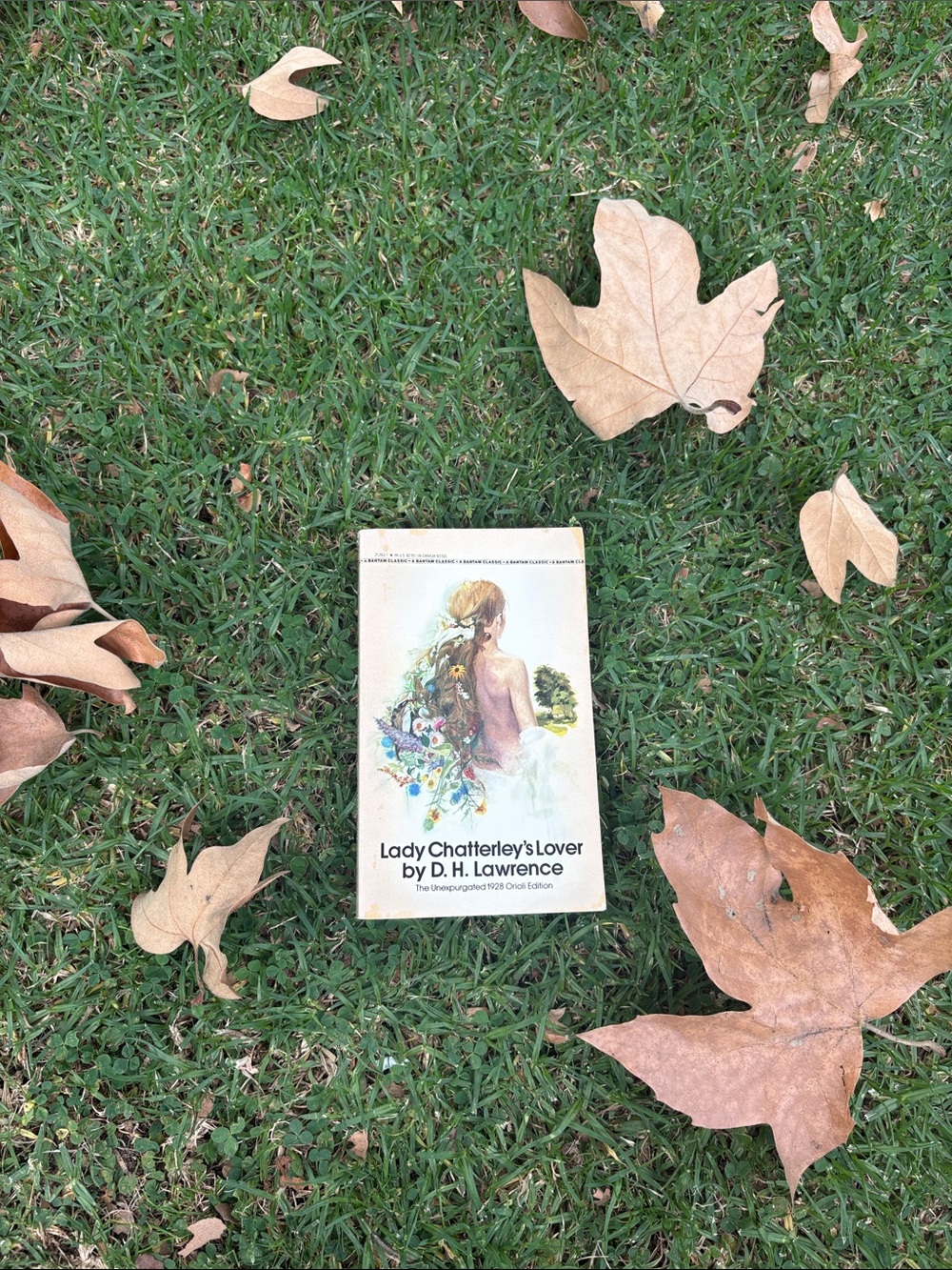 Vantage fined “Lady Chatterley’s Lover”Paperback —D.H.Lawrence